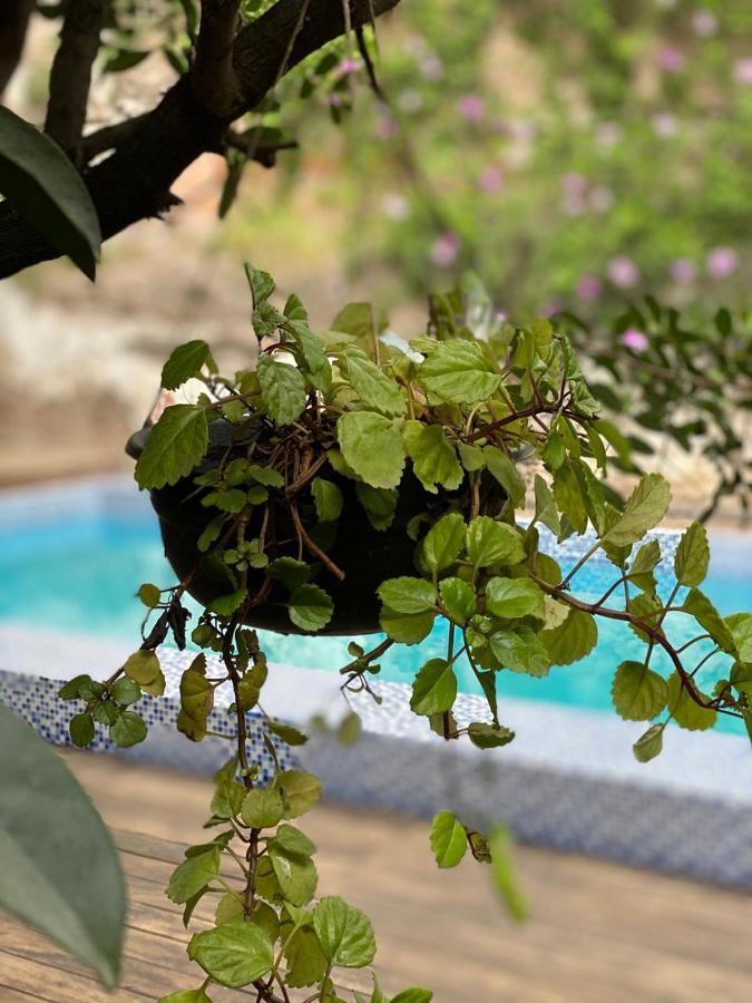 Hotel Boutique Hacienda Guadalupe 산미겔데아옌데 외부 사진