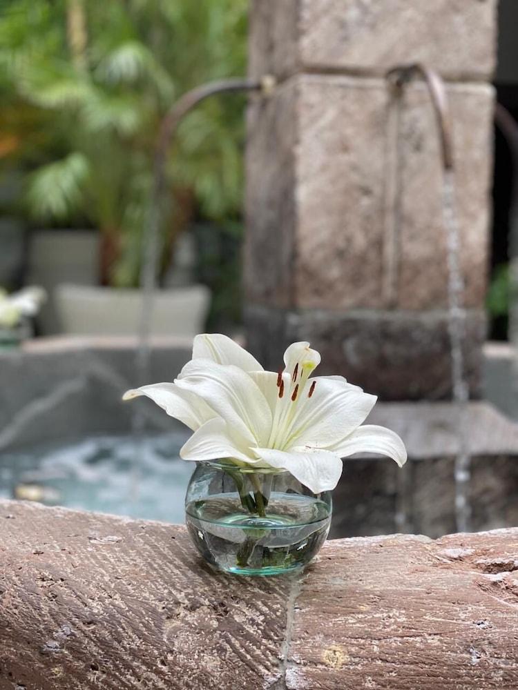 Hotel Boutique Hacienda Guadalupe 산미겔데아옌데 외부 사진